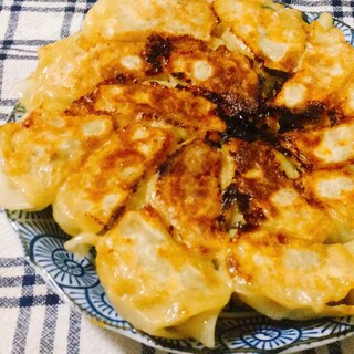 白菜で作るジューシー焼き餃子